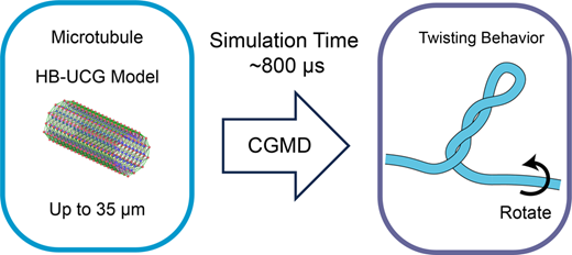 TOC graphic for Coarse-Grained Simulation of Persistence Length and Twisting Dynamics of Micrometer-Scale Microtubules
